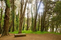 The Presidio: Main Post to the Golden Gate Bridge