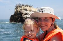 Private Ultimate Coastal Journey