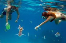 Chankanaab Park All inclusive Day pass and snorkel with Lunch