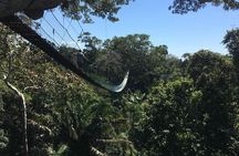Monkey island and canopy bridge