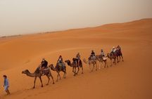 Morocco Customise Tour in 10 Days ( Shared / Private )