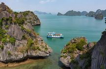 Cat Ba Luxury Day trip (included: transfer around ways + ticket + kayaking)