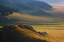 Jeep Tour: Plateau Assy