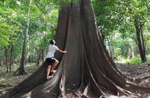 Adventure: 4-hour hike in the Amazon rainforest