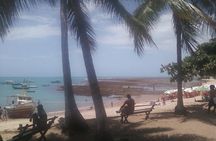 Coconut Coast and Praia do Forte - the famous beaches