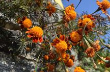 One Week Nepal Trek