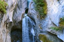 Jasper Wildlife and Waterfalls Tour with Maligne Lake Hike