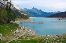 Jasper Wildlife and Waterfalls Tour with Maligne Lake Hike
