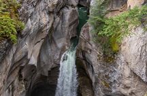5.5-Hour Jasper Wildlife and Waterfalls Tour with Maligne Lake Cruise from Jasper