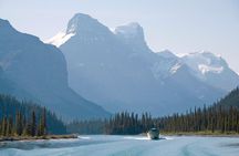 Jasper Wildlife & Sightseeing Tour with Maligne Lake Cruise