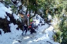 Annapurna: 5 Days Poon Hill Circuit Trek from Pokhara