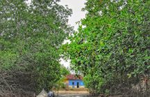 Private Tour of Ecotourism, Culture and Sea in Barú 