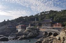 Busan and Gyeongju 2 days Tour from Seoul by KTX Bullet Train
