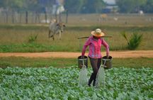 Village Cooking Class in Siem Reap