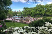 Horse Carriage Ride to/from Tavern On The Green (Up to 4 Adults)