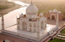 Same day Tajmahal tour with SOS Elephant/Bear wildlife Sanctuary