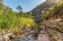 Paradise Valley Trip with Hammam Massage