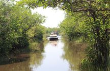 Everglades & Miami city tour with experienced guide