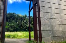 Uniquely Personalized Private Island Tour on Oahu, Hawaii