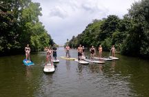 Uniquely Personalized Private Island Tour on Oahu, Hawaii