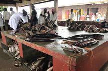 Fishing Village Food Tour & Luwombo Stop