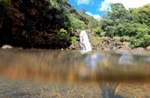 Oahu Custom Private Circle Island and Mini Circle Island Tours