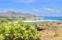 Oahu Custom Private Circle Island and Mini Circle Island Tours