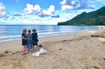 Oahu Customizable Private Community Service Voluntourism Offer