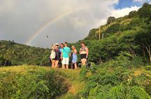 Oahu Customizable Private Community Service Voluntourism Offer
