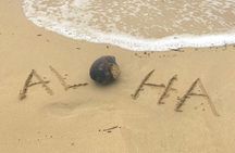 Oahu Customizable Private Community Service Voluntourism Offer