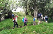 4 Days Mount Meru Trekking
