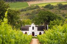 Cape Winelands and Wine Tasting Full Day Tour
