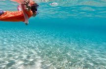 Oahu Personalized Private North Shore Highlight Custom Tour
