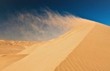 Qatar Desert Safari Adventure Experience .