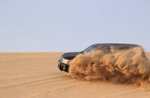Qatar Desert Safari Adventure Experience .