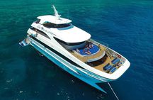 2 Day Great Barrier Reef and Kuranda Scenic Train & Skyrail Tour