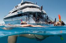 2 Day Great Barrier Reef and Kuranda Scenic Train & Skyrail Tour