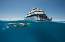3 Day Reef Cruise, 4WD Rainforest and Outback Chillagoe Package