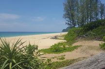 Shoreline Cruise and Secluded Beach
