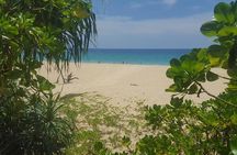 Shoreline Cruise and Secluded Beach