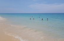 Shoreline Cruise and Secluded Beach
