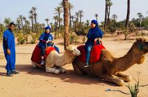 Camel Ride Marrakech 