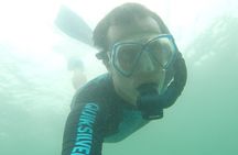 Local Reef Snorkelling and Deserted Beach
