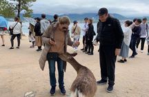 Miyajima Half-day Private Tour with Government Licensed Guide