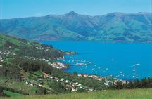 Akaroa Shore Excursion: Akaroa Harbour and Sheep Farm Local Tour