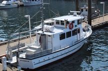 Wildlife Viewing and Whale Watching Quest