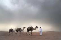 Qatar Desert Safari Adventure Experience .