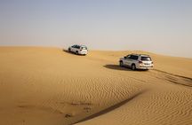 Morning Desert Safari with Sand boarding & Camel RideTour