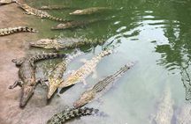 Cebu Safari Day Tour