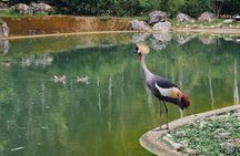 Cebu Safari Day Tour